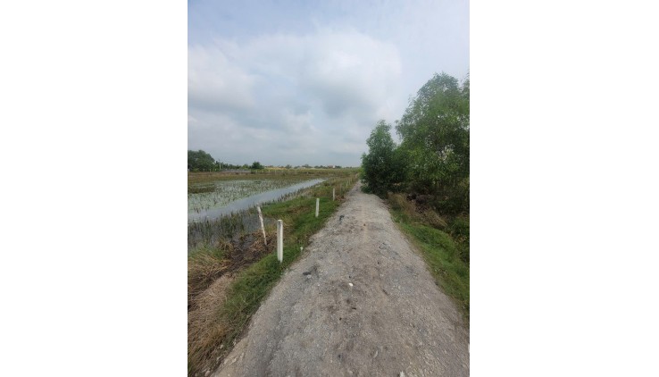 ĐẤT CHÍNH CHỦ - GIÁ TỐT - Cần Bán Lô Đất Vị Trí Đắc Địa Tại An Thới Đông, Huyện Cần Giờ, TP HCM