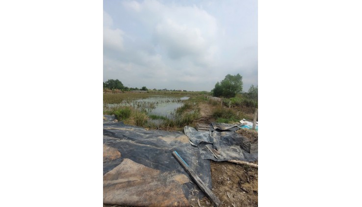 ĐẤT CHÍNH CHỦ - GIÁ TỐT - Cần Bán Lô Đất Vị Trí Đắc Địa Tại An Thới Đông, Huyện Cần Giờ, TP HCM