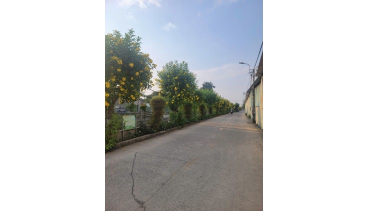 CC Bán gấp Lô đất thổ cư 90m2 HXH cạnh CĐ Điện Lực - Hà Huy Giáp. Chỉ 4.x tỉ