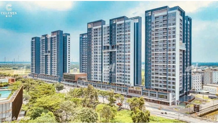 Cho thuê cc Celetas Rise đường Nguyễn Hữu Thọ, 85m2, full nội thất, 2PN, chỉ 14tr