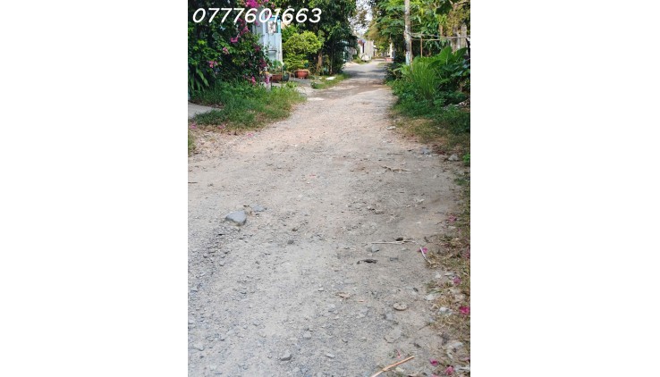 Bán nhà HXH Xuan Thới Sơn 19, Hóc Môn, 127m2, giá 4.5 tỷ TL.