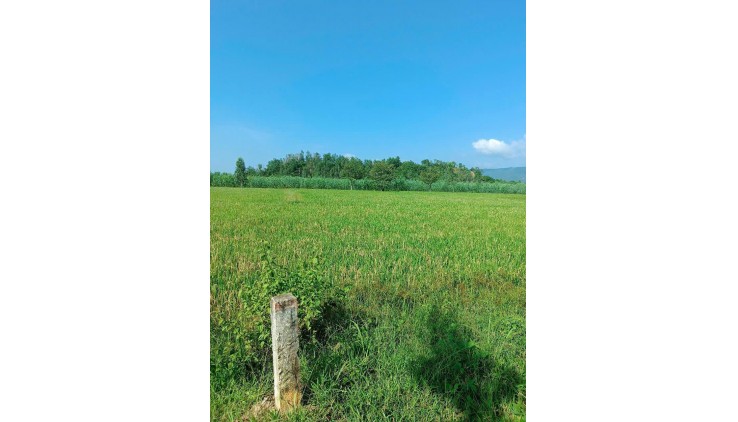 CHÍNH CHỦ CẦN BÁN 2 LÔ ĐẤT Siêu Tiềm Năng, Giá Siêu Rẻ Tại Phan Lâm, Bắc Bình, Bình Thuận