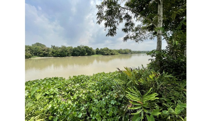 Bán vườn cà na, bên sông SG tại xã An Phú, Củ Chi, TPHCM, 5.9 tỷ, 2860 m2 - có 90m2 thổ cư