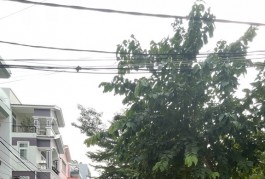 MẶT TIỀN ĐƯỜNG VIEW CÔNG VIÊN - KHU PHÂN LÔ - NHÀ 4 TẦNG