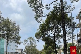 +Chính Chủ,Nhà Mặt Tiền Quận 5,4Tầng 55m2, Chủ Gấp Bán Giá Nào Cũng Chốt Nhỉnh 19Tỷ