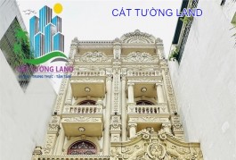 Biệt Thự DƯƠNG QUÃNG HÀM - Giáp Bình Thạnh, Đẳng Cấp Nội Thất Dát Vàng. Chủ Gấp bán, giảm 2/3 Giá