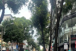 *++Nhỉnh 11Tỷ,Nhà Siêu Phẩm Gỗ Cao Cấp,Hẻm Xe Tải Sư Vạn Hạnh P12 Q10*