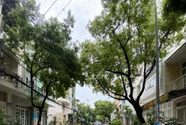 CHỈ 8.25 TỶ, CÓ MT KINH DOANH BÙI ĐIỀN, [P4Q8] DT 45M2- 3.5X12 - 3 TẦNG