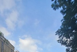 HÀNG HIẾM MT KINH DOANH ĐƯỜNG 79 TÂN QUY