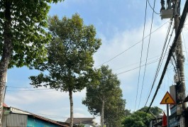 Bán nhà mặt phố trường thạnh Q.9, 150m2, 2 tầng, 10PN, 7 tỷ, sổ đỏ