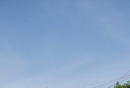 Bán đất thổ cư 1600m² Linh Trung, Thủ Đức - 40 tỷ, sổ đỏ