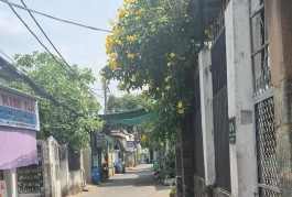 Bán nhà mặt phố Linh Trung, Thủ Đức, 545m², 9.5 tỷ, sổ đỏ