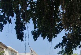 Mặt tiền đường số 12 Khu Bình Hưng 6x20 chỉ 12 tỷ 5