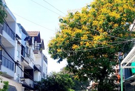 Mặt tiền đường số 9 khu Bình Hưng 6x18 Bình Chánh chỉ 12 tỷ 5