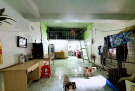 chung cư Cư Xá Điện Lực, Trường Thọ 32m2 có gác, thuê rẻ chỉ 4tr/tháng