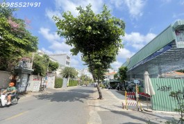 Nhà Mặt Tiền Đ59, Thảo Điền, Quận 2 (5.15x15m), Giá Chỉ 11.5 Tỷ