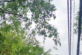 Cho thuê nhà hẻm 529/18 Nguyễn Tri Phương, Phường 8, Quận 10