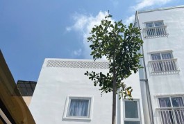 NHÀ MỚI CHƯA BÓC TEM-PHONG CÁCH VINTAGE –HỢP GU GIỚI TRẺ