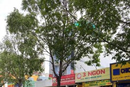 Bán Gấp Nhà Mặt Tiền Kinh Doanh  Linh Xuân TP. Thủ Đức – Giá Tốt!