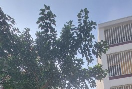 LÔ ĐẤT VỊ TRÍ ĐẸP TIỀM NĂNG - GẦN VÀNH ĐAI 2 - KHU XÂY DỰNG CAO TẦNG - CHỈ NHỈNH 5 TỶ
