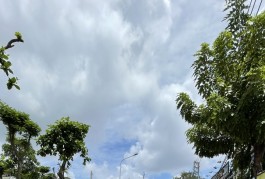 Bán nhà Bông Sao, Quận 8, 64m2, ngang 4m, chỉ 4.75 tỷ