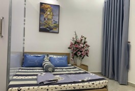 Nhà gỗ ngay Lê Văn Thọ, Gò Vấp, ngang bề thế (4x10) hơn 4 TỶ