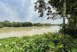 Bán vườn cà na, bên sông SG tại xã An Phú, Củ Chi, TPHCM, 5.9 tỷ, 2860 m2 - có 90m2 thổ cư