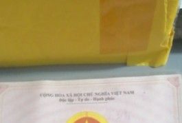 BÁN NHÀ MẶT PHỐ (1 HOẶ 2 NỀN LIỀN KỀ) P.THẠNH XUÂN, Q.12  TP.HCM