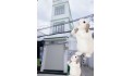 Bán nhà căn góc 62m2-4tang mt Hiệp Thành 45 Q12 ,liền kề nhà máy bia Tiger - 5 tỷ nhỉnh 0932030061