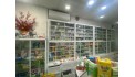 CHÍNH CHỦ SANG NHƯỢNG LẠI NHÀ THUỐC  Địa chỉ : Chung cư Calla 13C Nguyễn Văn Linh, xã Phong Phú, huyện Bình Chánh
