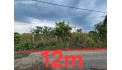Bán Đất Xuân Thới Sơn 850m2 XÂY căn biệt thự, LÀM KHO XƯỞNG, ĐƯỜNG XE TẢI THÔNG TỨ TUNG
Giá 11.5t