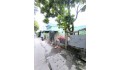 Bán đất hẻm rộng đường Gò Dưa, Tam Bình, Thủ Đức 189m2 ngang 11m dài 17m giá 4,6 tỷ