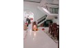 Gấp bán nhà mặt tiền đường số 12m ngang 7,5m, 200m2 giá 17 tỷ, phường Tam Bình, Thủ Đức.