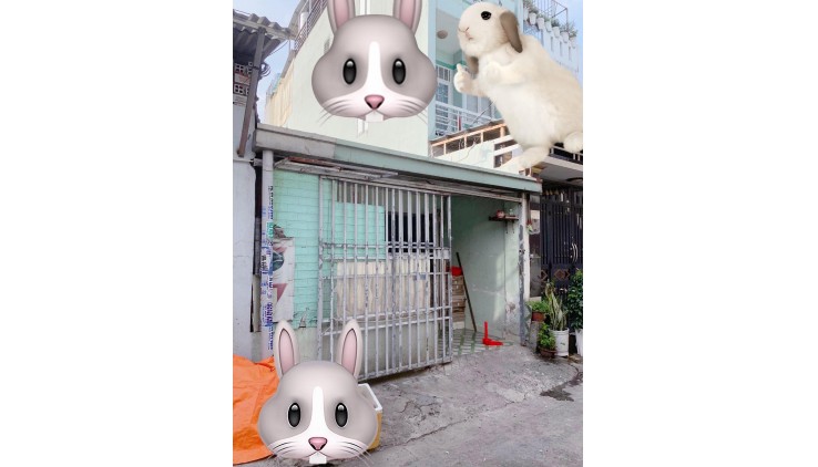 Nhà cấp 4,,,39m2 (3,1x18) Song Hành Q12 ,sát Galaxy Trung Chánh ,hxh thông, 3 tỷ nhỉnh 0932030061