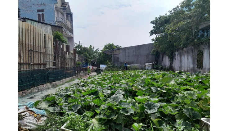 Đất Lô Góc 188m2 có 6 tỷ x Mặt tiền Đông Thạnh Hóc Môn Hồ Chí Minh.