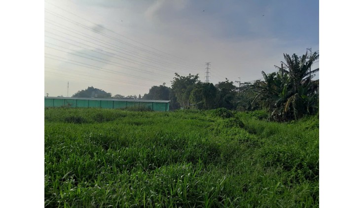 Kèo thơm 1212m2 Mặt Tiền Quốc Lộ 22 Phước Thạnh Củ Chi Hồ Chí MInh có 12 tỷ x