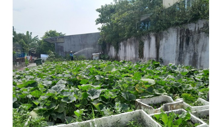 Đất Lô Góc 188m2 có 6 tỷ x Mặt tiền Đông Thạnh Hóc Môn Hồ Chí Minh.
