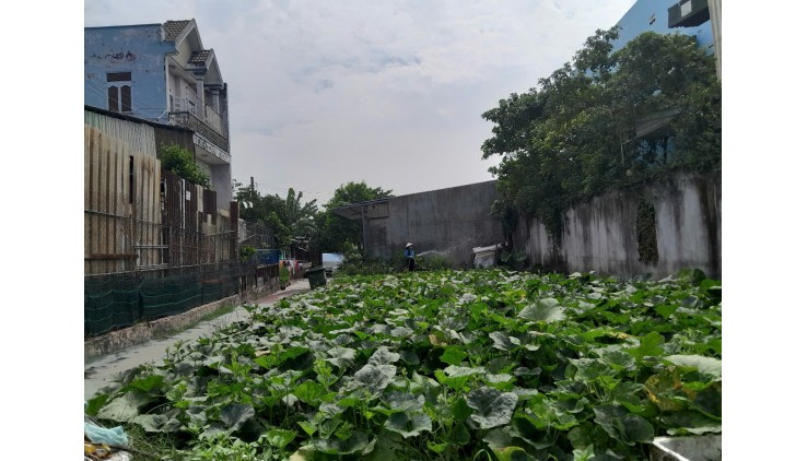 Đất Lô Góc 188m2 có 6 tỷ x Mặt tiền Đông Thạnh Hóc Môn Hồ Chí Minh.