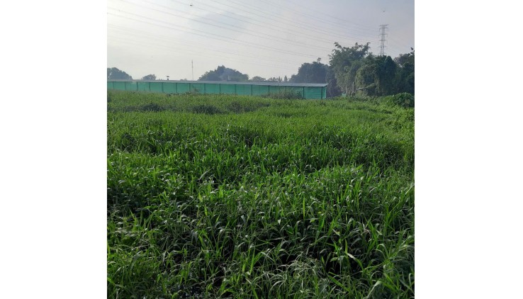 Kèo thơm 1212m2 Mặt Tiền Quốc Lộ 22 Phước Thạnh Củ Chi Hồ Chí MInh có 12 tỷ x