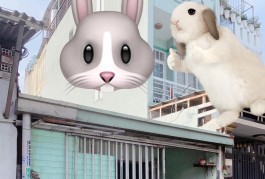 Nhà cấp 4,,,39m2 (3,1x18) Song Hành Q12 ,sát Galaxy Trung Chánh ,hxh thông, 3 tỷ nhỉnh 0932030061