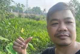 Kèo thơm 1212m2 Mặt Tiền Quốc Lộ 22 Phước Thạnh Củ Chi Hồ Chí MInh có 12 tỷ x