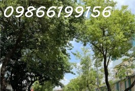 NHÀ PHỐ 4 TẦNG Q7- NGUYỄN THỊ THẬP - HẺM XE HƠI - DT 70m2 - NHỈNH 8 TỶ
