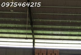 ĐẤT NGÔ CHÍ QUỐC – HẺM XE TẢI – GIÁ RẺ SO VỚI THỊ TRƯỜNG  17m x 32m -27 TY