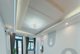 Cho thuê Penhouse 370 m2 ,4 pn 4 wc , 1 pn ,Cao Ốc Phú Nhuận 20 Hoàng Minh Giám