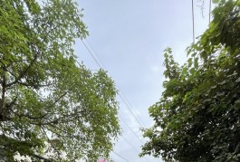 Bán nhà riêng tại Bùi Minh Trực, 5,3 tỷ, 72m2, 3PN + 2WC, hàng hiếm!