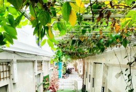 Nhà mặt tiền 3 Tầng Đường Nguyễn Oanh, Gò Vấp Diện Tích 82m²
. Giá chỉ 11 Tỷ