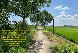 CHÍNH CHỦ bán nhanh lô đất vị trí đắc địa tại Xã Lý Nhơn, Huyện Cần Giờ, Tp Hồ Chí Minh