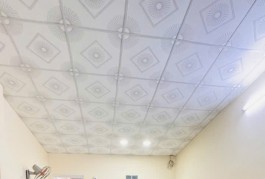 Bán Gấp nhà Bờ Bao Tân Thắng đi bộ ra AEON Tân Phú HXH 62m2 ,2 Tầng Nhỉnh 4 tỷ