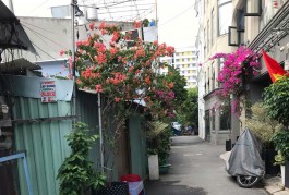CHO THUÊ NHÀ NHỎ RIÊNG BIỆT. Nhà hẻm ngõ. Xe hơi đi đc, hẻm 736 Lê Đức Thọ Gò Vấp