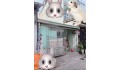 Nhà cấp 4,,,39m2 (3,1x18) Song Hành Q12 ,sát Galaxy Trung Chánh ,hxh thông, 3 tỷ nhỉnh 0932030061
